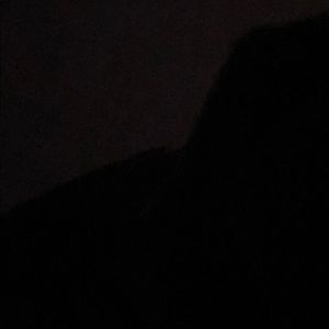 Meet your Posher, Grandpa